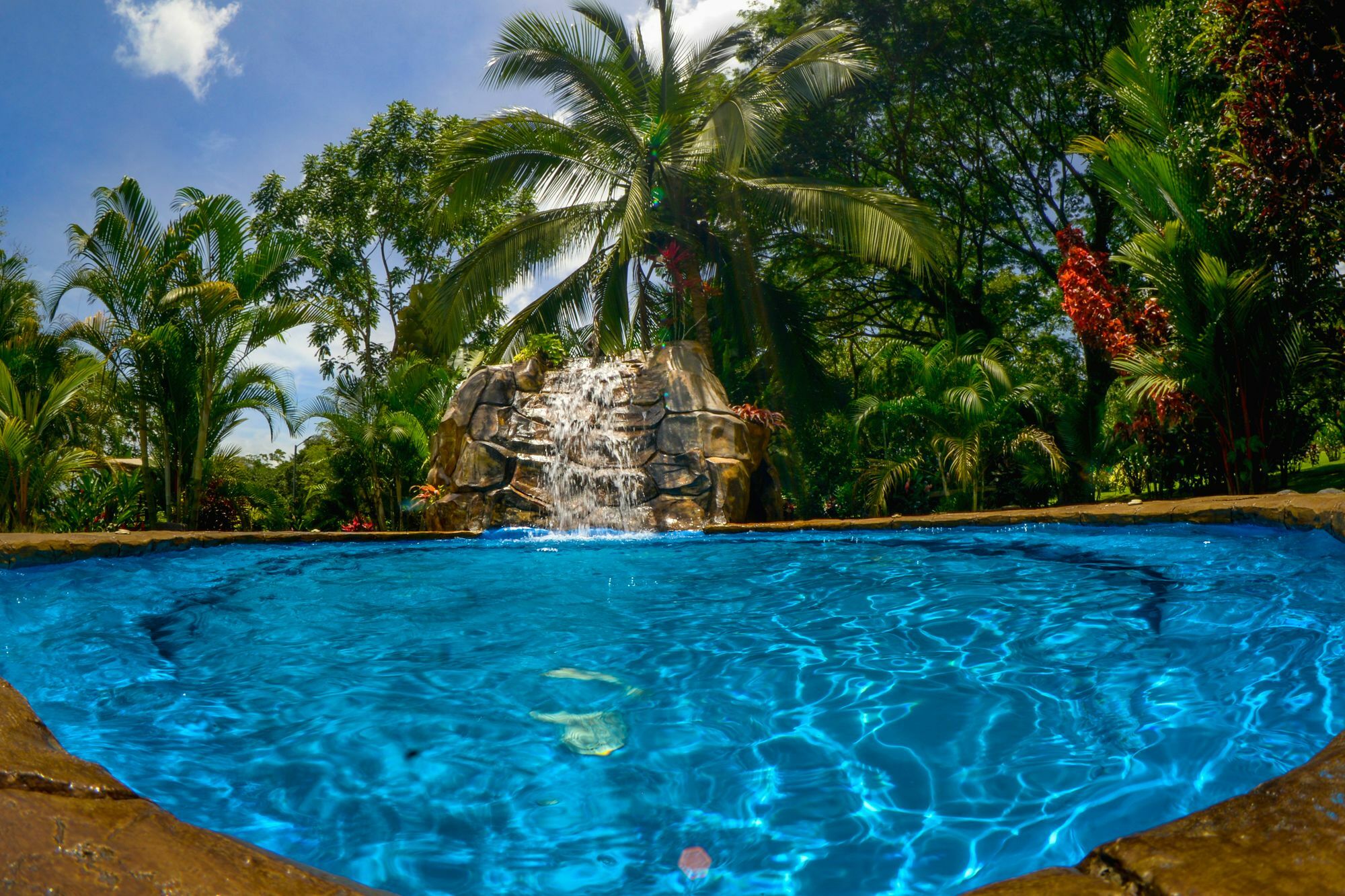 Hotel Las Orquideas La Fortuna المظهر الخارجي الصورة