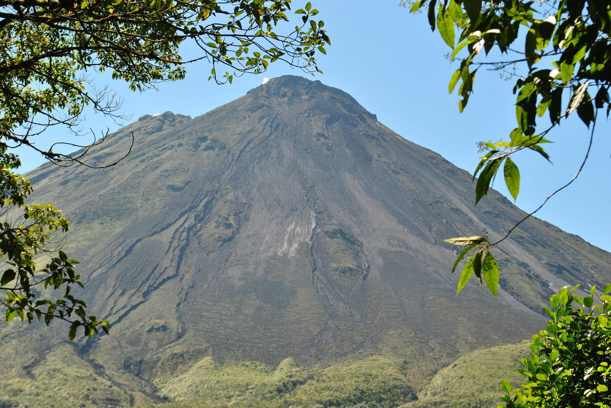 Hotel Las Orquideas La Fortuna المظهر الخارجي الصورة